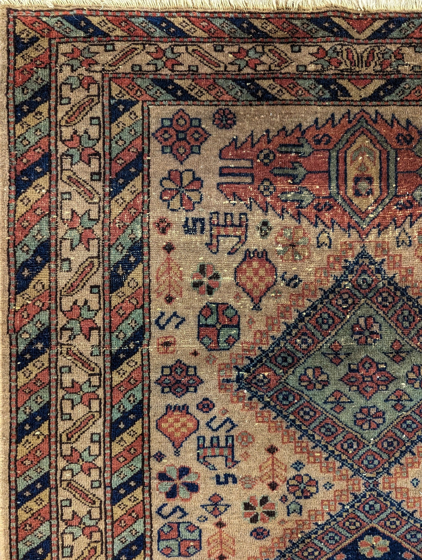 Kazak rug {GHALYA}